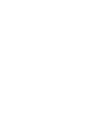 Dom Pet Resort
